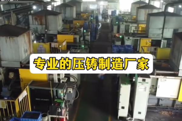 專業的壓鑄制造廠家